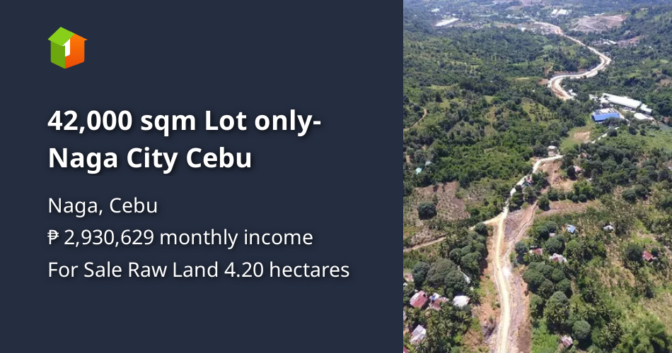 42,000 sqm Lot onlyNaga City Cebu [Lots 🚜] (November 2023) in Naga