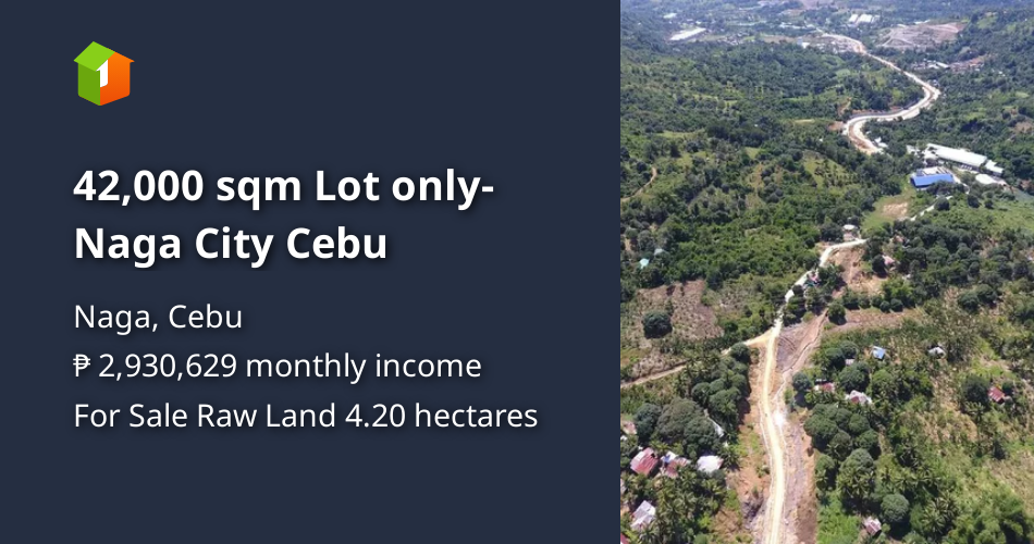 42000 Sqm Lot Only Naga City Cebu Lot 🚜 November 2023 In Naga Cebu For Sale 4390