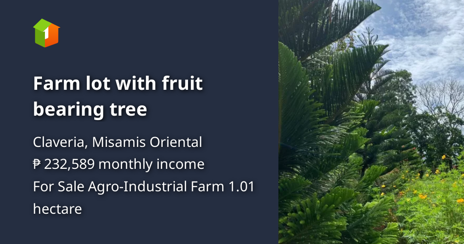 Farm lot with fruit bearing tree [Lot 🚜] (December 2022) in Claveria, Misamis Oriental for sale