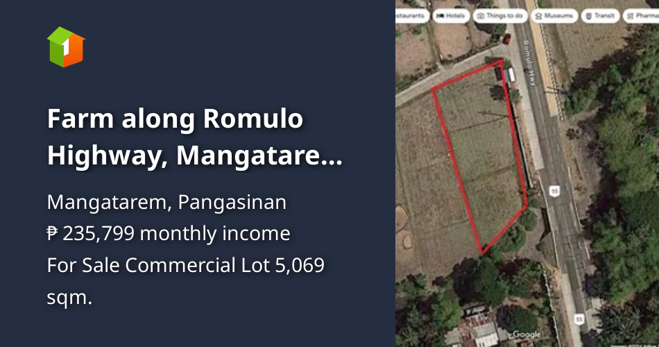 Farm along Romulo Highway, Mangatarem, convertible for commercial use [Lot 🚜] (July 2024) in