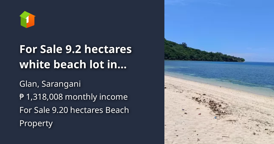 For Sale 9.2 hectares white beach lot in Sarangani [Beach Properties 🏖️