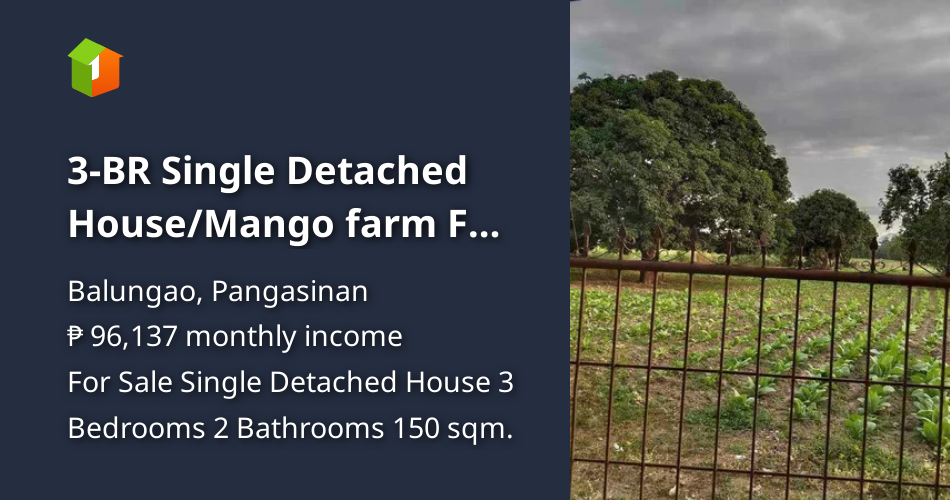 3BR Single Detached House/Mango farm For Sale in Balungao Pangasinan