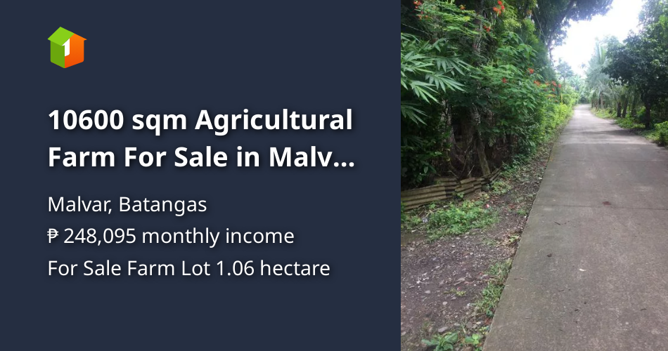 10600 sqm Agricultural Farm For Sale in Malvar Batangas [Lot 🚜] (May