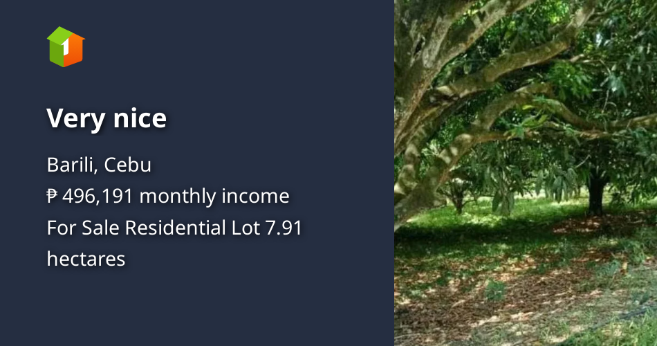 Very nice [Lot 🚜] (March 2023) in Barili, Cebu for sale