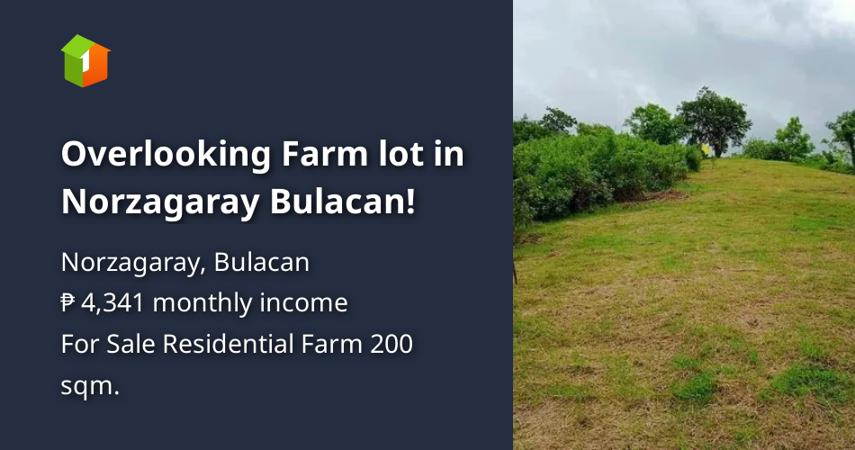 Overlooking Farm lot in Norzagaray Bulacan! [Lot 🚜] (September 2022) in