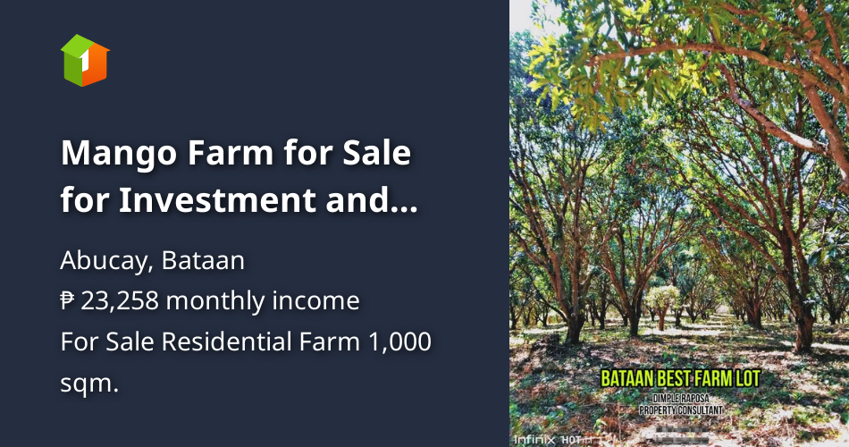 Mango Farm for Sale for Investment and Business Owners [Lot 🚜] (April