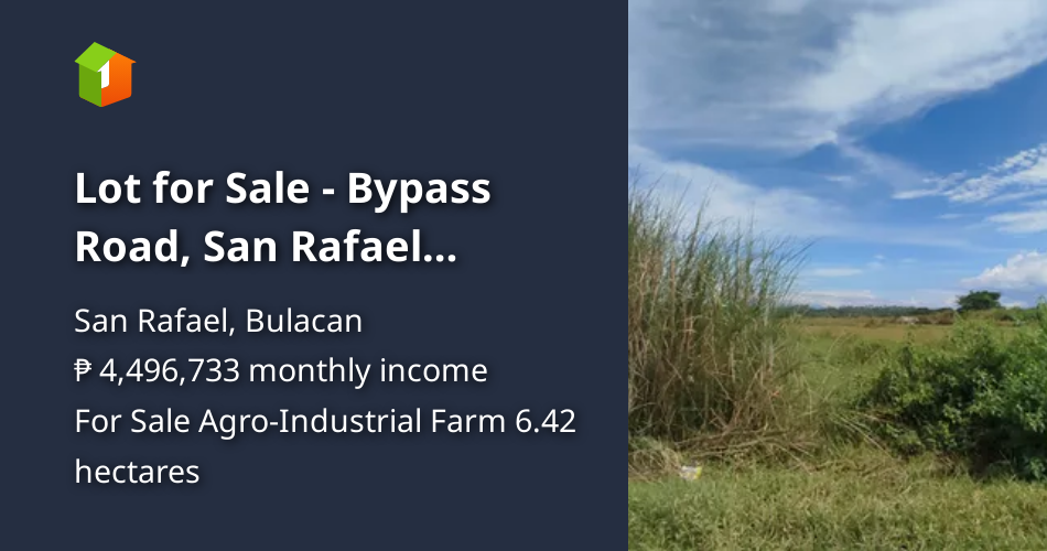 Lot for Sale Bypass Road, San Rafael Bulacan / 6.42HAS / P4,500 [Lot 🚜] (May 2023) in San