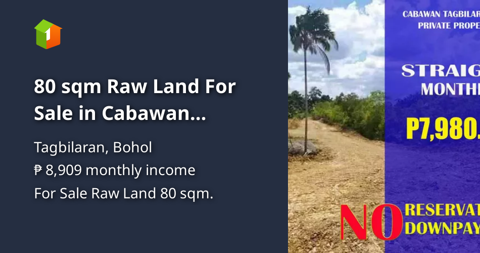80 sqm Raw Land For Sale in Cabawan Tagbilaran Bohol [Lot 🚜] (December
