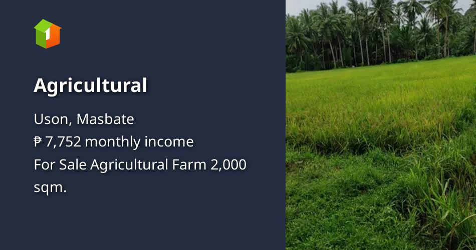 Agricultural [Lot 🚜] (January 2024) in Uson, Masbate for sale