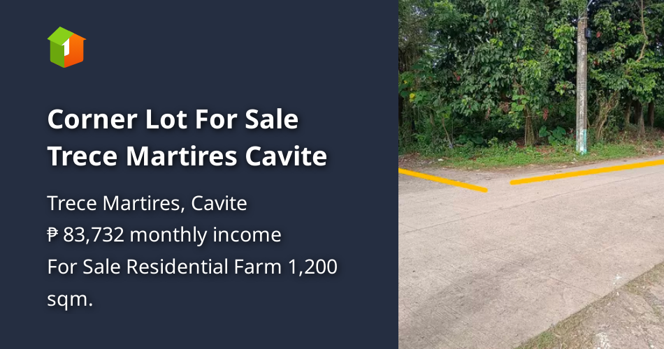 Corner Lot For Sale Trece Martires Cavite [Lot 🚜] (August 2024) in
