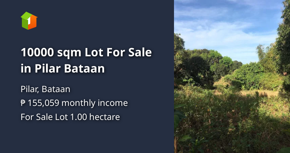10000 sqm Lot For Sale in Pilar Bataan [Lot 🚜] (April 2023) in Pilar