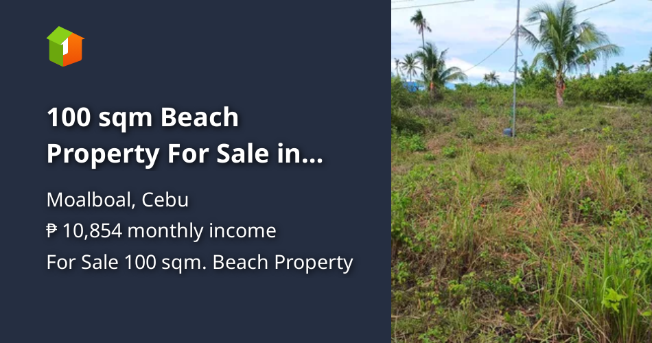 100 sqm Beach Property For Sale in Moalboal Cebu [Beach Property 🏖️