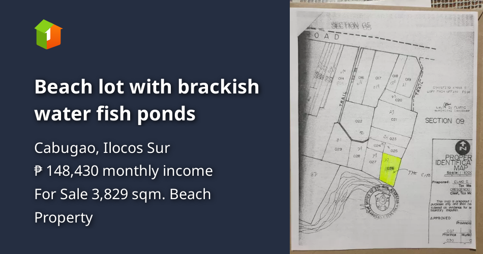 Beach lot with brackish water fish ponds [Beach Property 🏖️] (August
