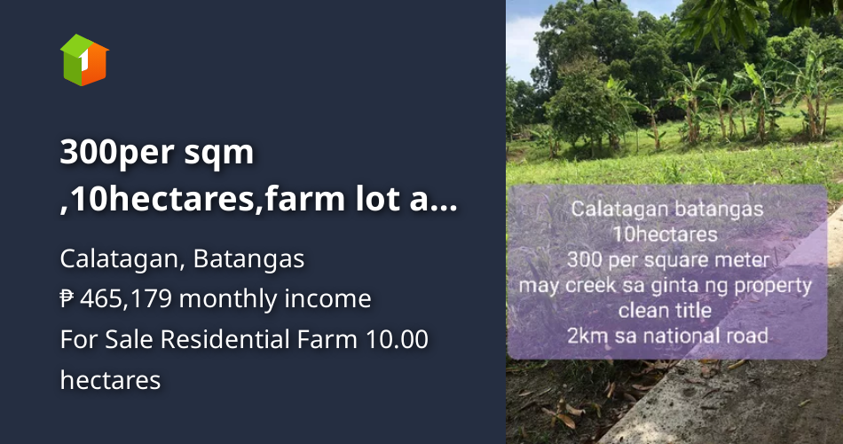 300per sqm ,10hectares,farm lot at calatagan batangas [Lot 🚜] (August