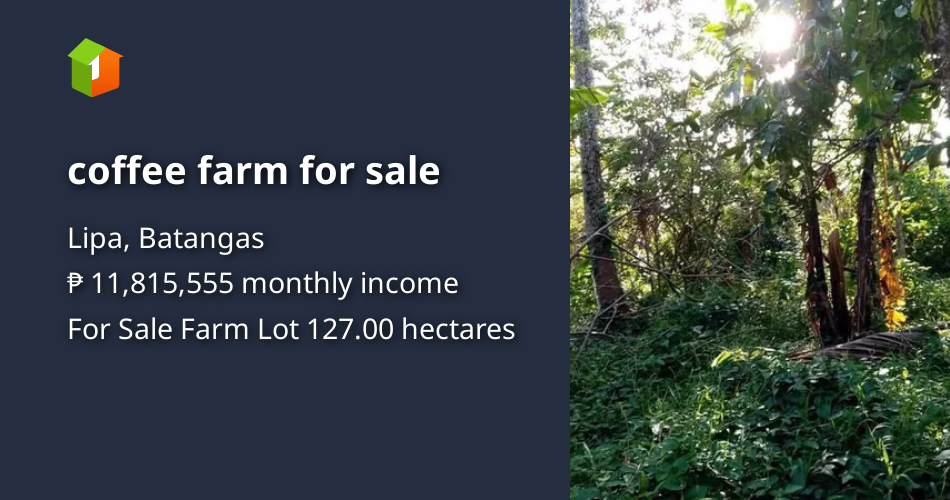 Coffee farm for sale [Lot 🚜] (August 2024) in Lipa, Batangas for sale
