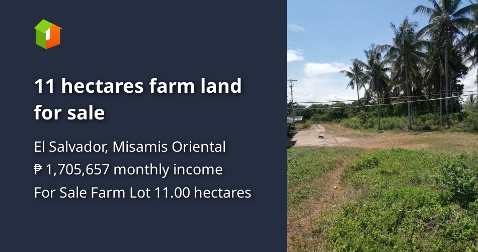 11 hectares farm land for sale [Lot 🚜] (August 2023) in El Salvador