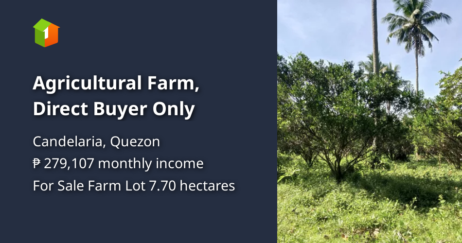 Agricultural Farm, Direct Buyer Only [Lot 🚜] (January 2023) in Candelaria, Quezon for sale