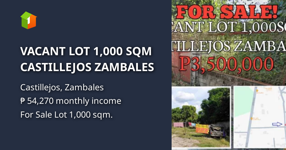 VACANT LOT 1,000 SQM CASTILLEJOS ZAMBALES [Lot 🚜] (February 2024) in
