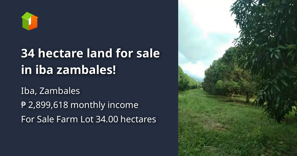 34 hectare land for sale in iba zambales! [Lot 🚜] (July 2023) in Iba