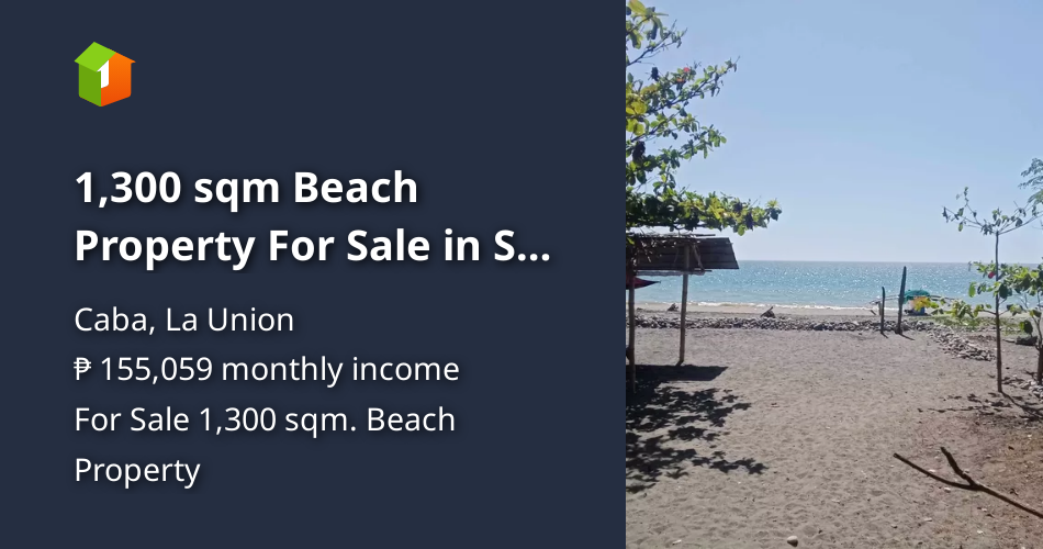 1,300 sqm Beach Property For Sale in Caba La Union [Beach Property 🏖️