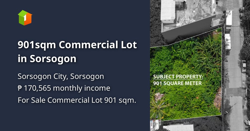 901sqm Commercial Lot in Sorsogon [Lots 🚜] (November 2021) in Sorsogon City, Sorsogon for sale