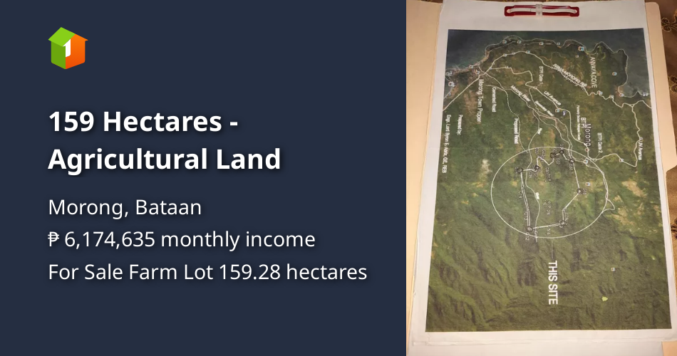 159 Hectares Agricultural Land [Lot 🚜] (September 2024) in Morong