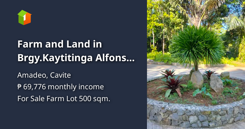 Farm and Land in Brgy.Kaytitinga Alfonso cavite [Lots 🚜] (September