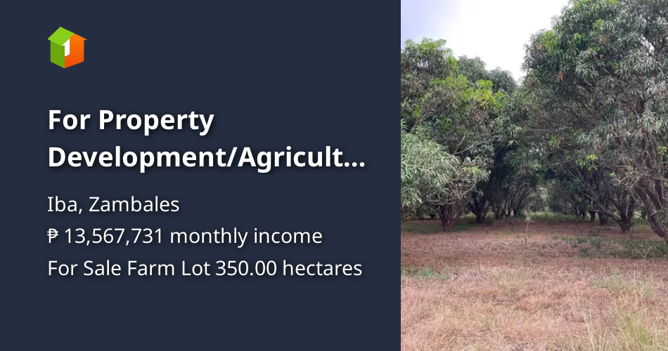 For Property Development/Agricultural Farm Land For Sale Iba Zambales