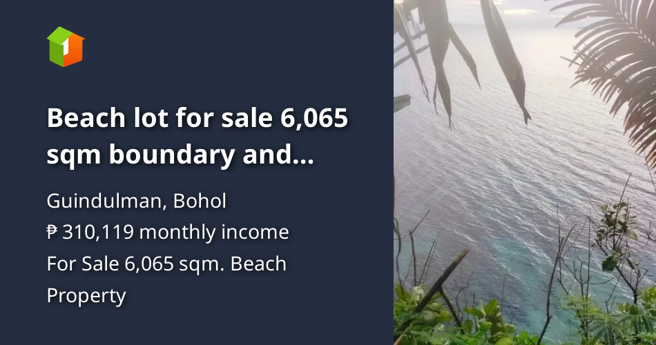 Beach lot for sale 6,065 sqm boundary and Anda Bohol 20m negotiable