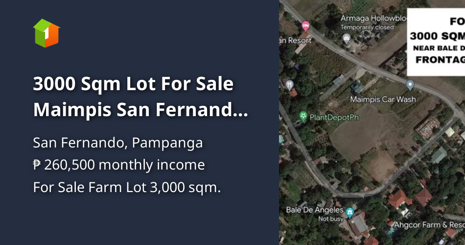 3000 Sqm Lot For Sale Maimpis San Fernando Near Bale De Angeles Resort