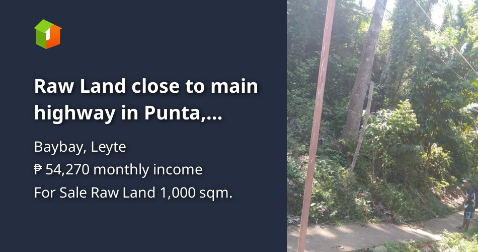 Raw Land close to main highway in Punta, Baybay [Lot 🚜] (October 2023