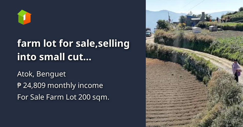 Farm lot for sale,selling into small cut titled,updated tax [Lots 🚜 ...