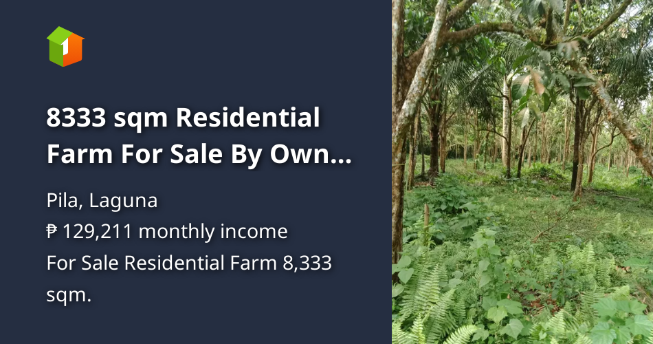8333 sqm Residential Farm For Sale By Owner in Pila Laguna [Lot 🚜] (May