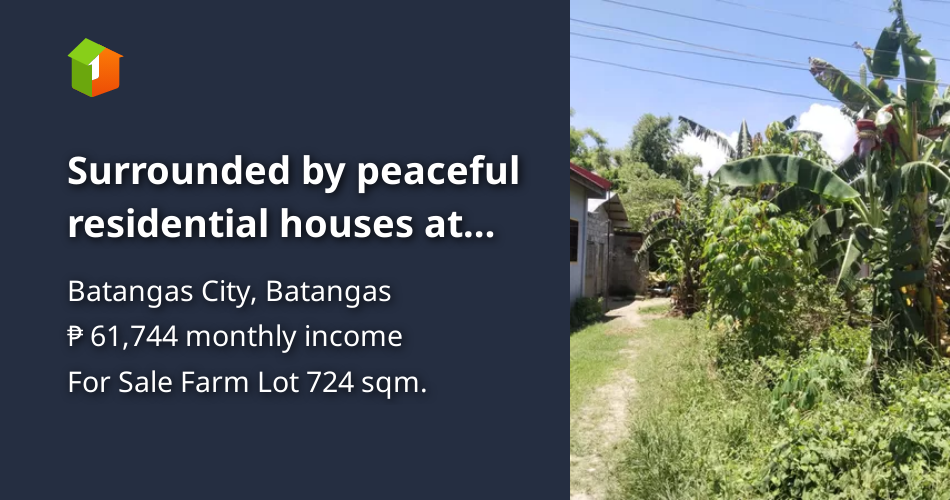 Surrounded by peaceful residential houses at San Isidro, Bats City, 15