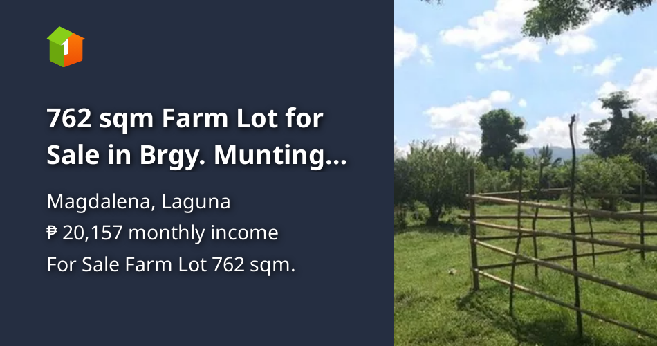 762 sqm Farm Lot for Sale in Brgy. Munting Ambling, Magdalena Laguna