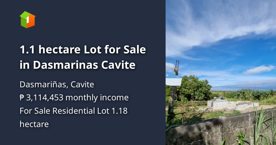 1.1 hectare Lot for Sale in Dasmarinas Cavite [Lot 🚜] (August 2023) in Dasmariñas, Cavite for sale