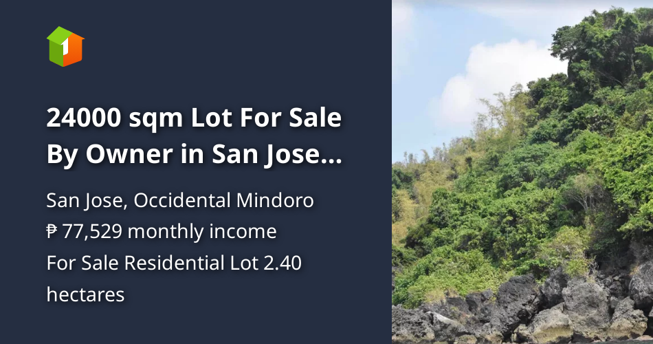 24000 sqm Lot For Sale By Owner in San Jose Occidental Mindoro [Lot 🚜