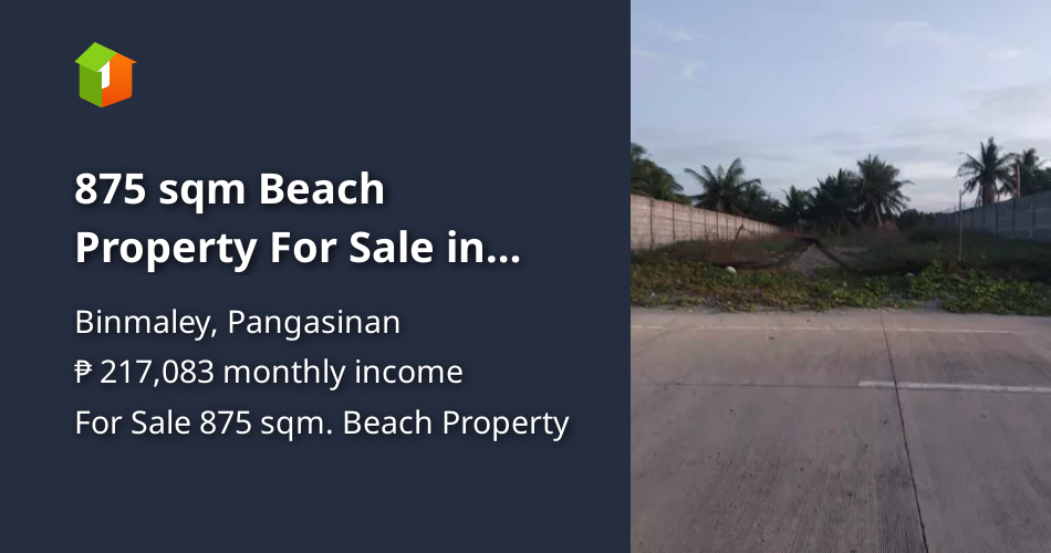 875 sqm Beach Property For Sale in Binmaley Pangasinan [Beach Property