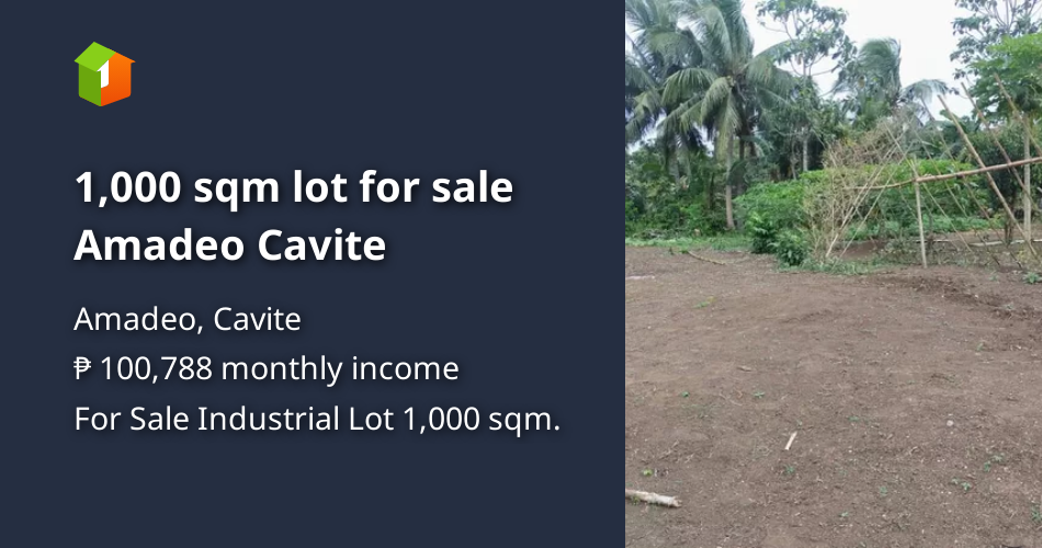 1,000 sqm lot for sale Amadeo Cavite [Lot 🚜] (August 2023) in Amadeo