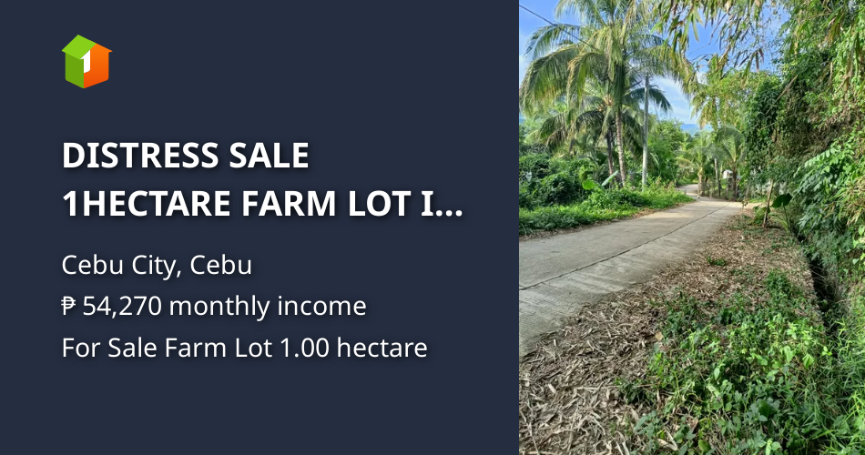 DISTRESS SALE 1HECTARE FARM LOT IN MABINI, CEBU CITY [Lot 🚜] (March 2023) in Cebu City, Cebu for