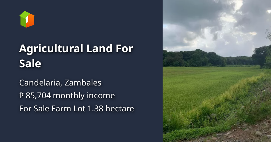 Agricultural Land For Sale [Lot 🚜] (June 2023) in Candelaria, Zambales