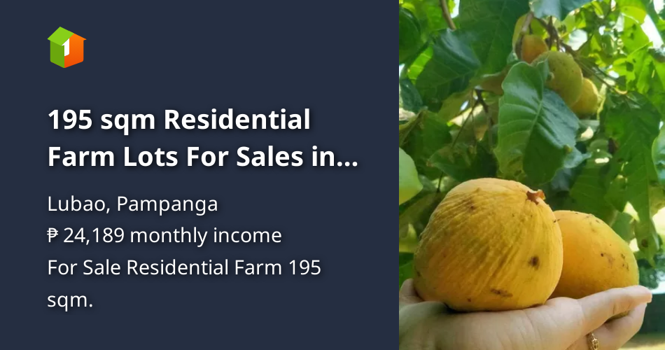 195 sqm Residential Farm Lots For Sales in Lubao Pampanga [Lot 🚜] (May
