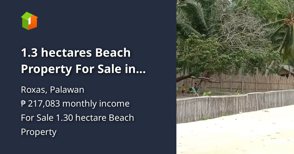 1.3 hectares Beach Property For Sale in Roxas Palawan [Beach Property 🏖