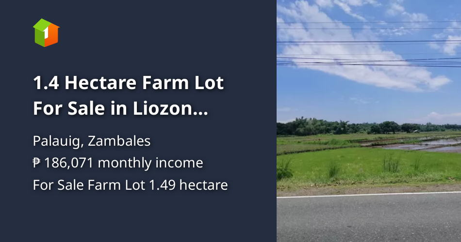 1.4 Hectare Farm Lot For Sale in Liozon Palauig, Zambales [Lot 🚜