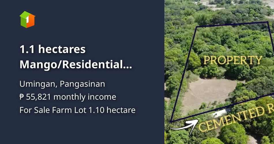1.1 hectares Mango/Residential Farm For Sale in Umingan Pangasinan [Lot