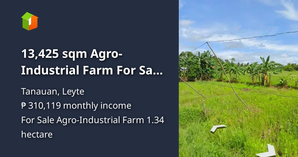 13,425 sqm AgroIndustrial Farm For Sale in Tanauan Leyte [Lot 🚜] (December 2023) in Tanauan