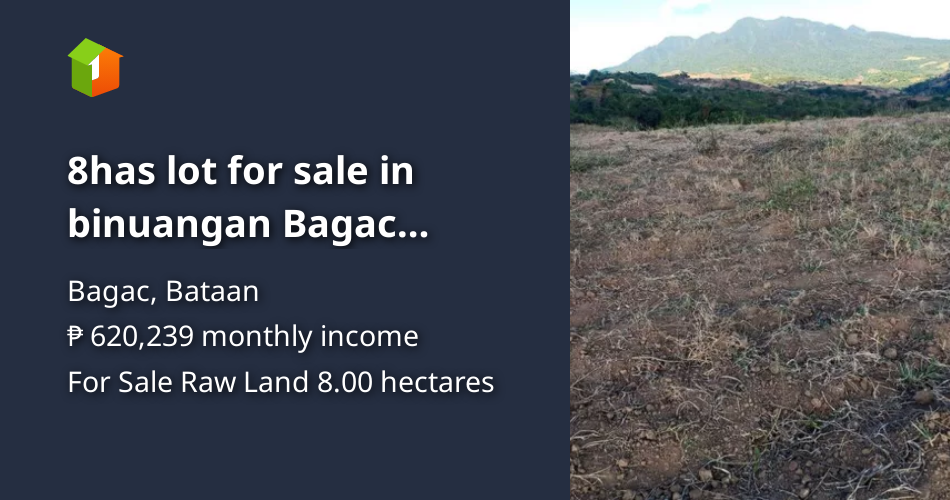 8has lot for sale in binuangan Bagac Bataan .Looking for direct buyer [Lot 🚜] (August 2023) in