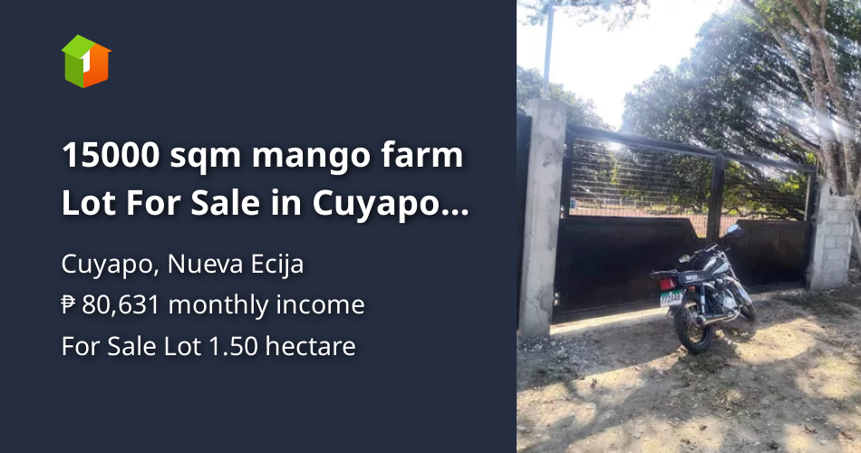 15000 sqm mango farm Lot For Sale in Cuyapo Nueva Ecija [Lot 🚜] (June