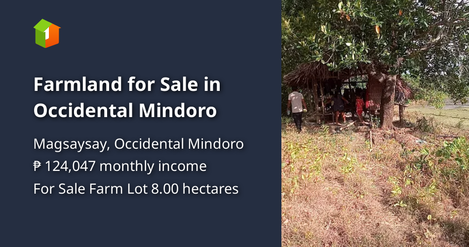 Farmland for Sale in Occidental Mindoro [Lot 🚜] (August 2024) in
