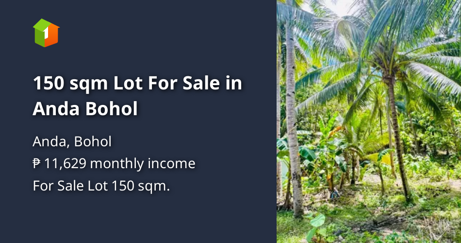Seaview Lot for Sale near Powdery White Beach in Anda & Lamanok Island